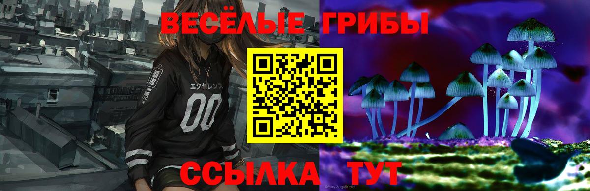 даркнет сайт  Галлюциногенные грибы Cubensis  Чебаркуль  Вход с VPN  Псилоцибиновые грибы GOLDEN TEACHER 