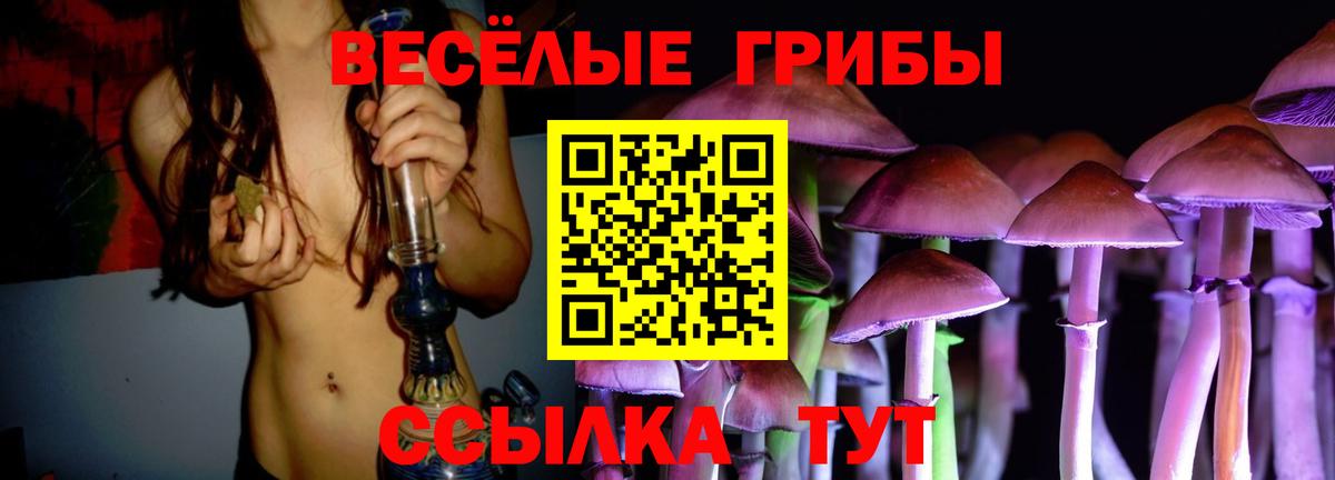 Галлюциногенные грибы Psilocybe Чебаркуль